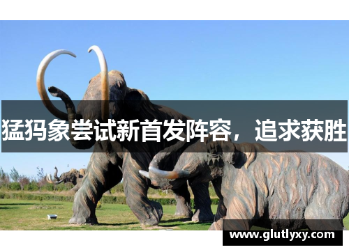 猛犸象尝试新首发阵容，追求获胜