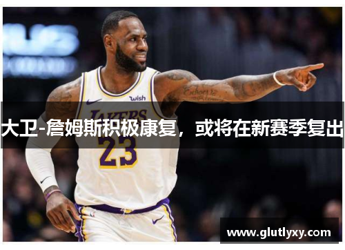 大卫-詹姆斯积极康复，或将在新赛季复出