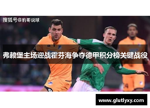 弗赖堡主场迎战霍芬海争夺德甲积分榜关键战役